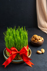 front view green holiday semeni with red bow on dark background ornate spring horizontal ethnic novruz concept