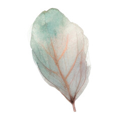 Watercolor Indoor Plants - Elements