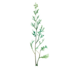 Watercolor Indoor Plants - Elements