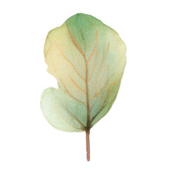 Watercolor Indoor Plants - Elements