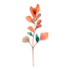 Watercolor Indoor Plants - Elements