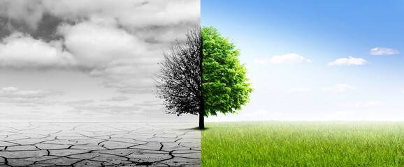 Klimwandel von Dürre zu Fruchtbarer Landschaft