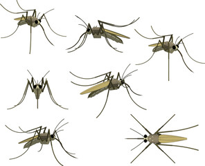 Vector sketch illustration of flying mosquito