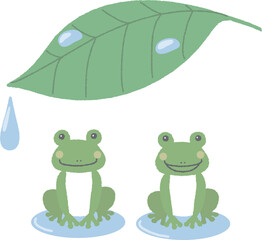 葉っぱの下の可愛い2匹のかえる