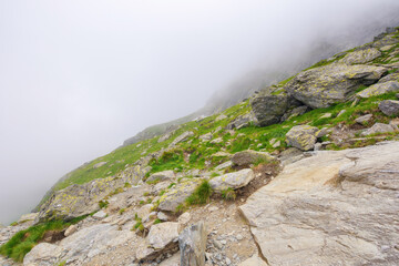 stones and boulders on the hill. outdoor adventures in the fog. mountainous landscape of romania in summer