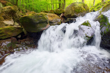 waterfall among the rocks. creek in the forest. clear water in nature concept