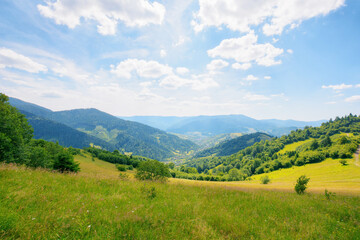 rural fields and meadows on the forested hills. village in the distant valley. carpathian countryside in summer with mountain range in the distance. sunny afternoon weather with fluffy clouds on sky