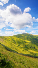 carpathian countryside in summer. scenery with green meadows and forested hills. bright sunny weather