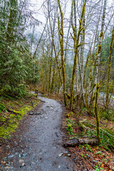 Twin Falls Trail 2