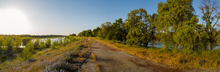 Fototapeta premium Panorama at sunset on levee of Sacramento river 
