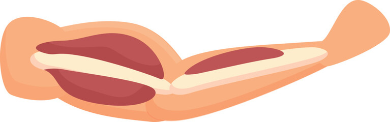 Hand muscle icon cartoon vector. Strong muscular. Fiber body