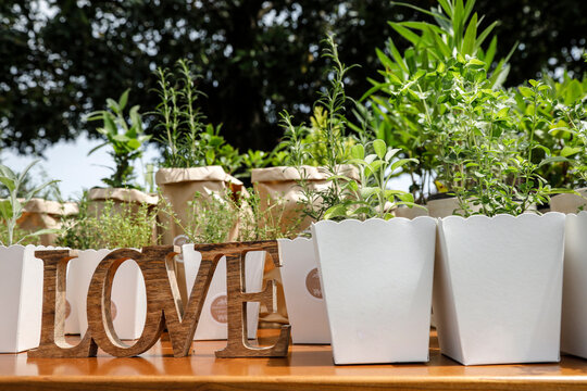 Decorazione floreale con tanti vasi e la scritta "Love" dorata