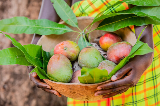 Crop black woman with fruits