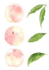 桃の果実と葉っぱのセット　手描き水彩イラスト