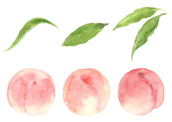 桃の果実と葉っぱのセット　手描き水彩イラスト