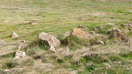 Rocas en pradera de hierba 