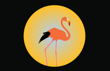 flamingo on sunset background