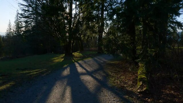 Hiking Trail on top of Burnaby Mountain during Sunny Spring Season Sunset. Vancouver, British Columbia, Canada.