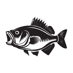 illustration of a fish