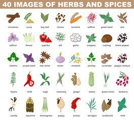 Spices and herbs for cooking. Delicious food ingredient collection.