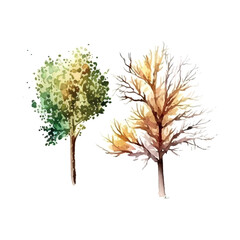 Fototapeta premium Watercolor tree hand draw vector nature painting