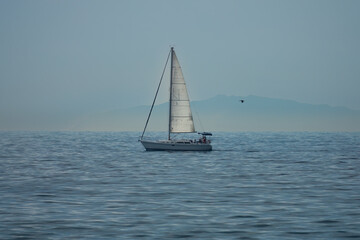 Fototapeta premium View of a sail boat passing in front of catalina island, from Ocean Beach, Orange county, California