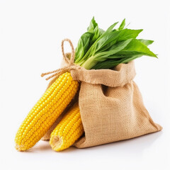 old sack of corn,.white background,.AI generated