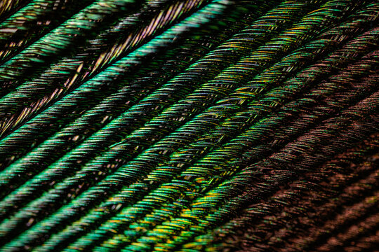 Multicolored lines background