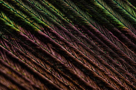 Multicolored lines background