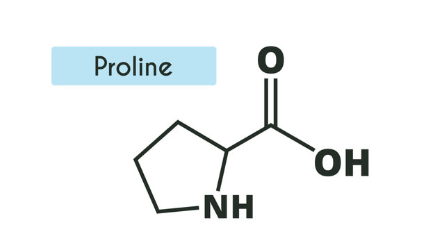 Proline Molecule Structure. (l-proline, Pro) Skeletal formula. Amino acid.