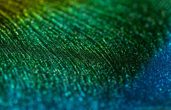 Shiny particles of metallic paint