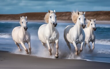 Fototapeta na wymiar White horses galloping on the beach, Generative AI