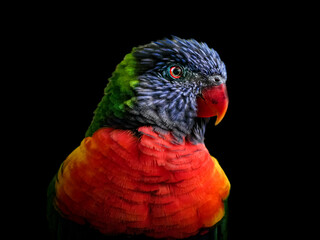 Tampa Florida Zoo and Weedon Island Preserve