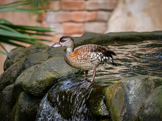 Tampa Florida Zoo and Weedon Island Preserve