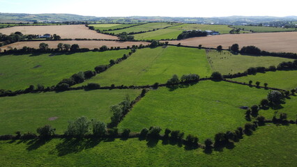 farm fields of Ireland lined with trees, top view. Green Irish landscape.