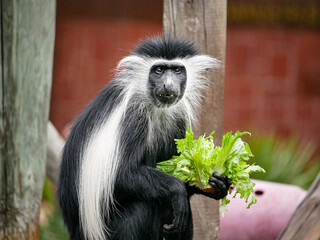 Tampa Florida Zoo and Weedon Island Preserve