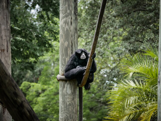 Tampa Florida Zoo and Weedon Island Preserve