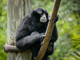 Tampa Florida Zoo and Weedon Island Preserve