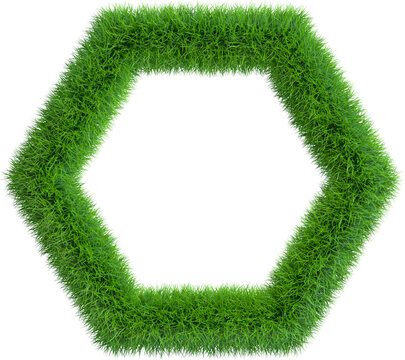 Grass frame in form of hexagon. 3D rendering illustration.