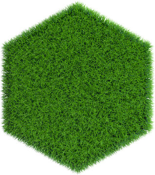 Patch of grass in form of hexagon. 3D rendering illustration.