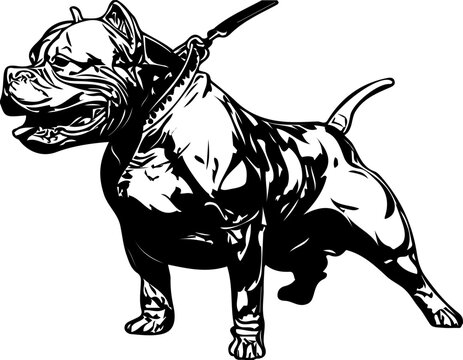 Bull Dog Vector Illustration, American Bully Dog Line Art, Vector sketch drawing pitbull barking pit bull terrier dog vector