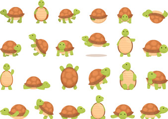 Turtle pet icons set cartoon vector. Reptile shell. Animal wild