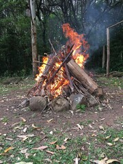 bonfire in the forest
