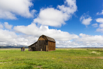 Obraz premium A lonely wooden, old barn on prairies of the Grand Tetons, USA