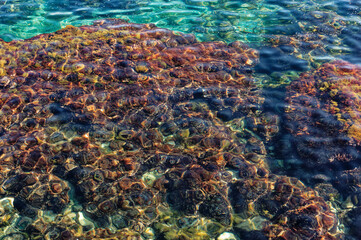 Sea and Underwater Rocks at Cap d'Antibes