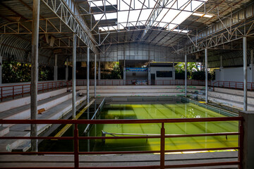  Old abandoned crocodile farm. Interior of an abandoned building. Green water pool.