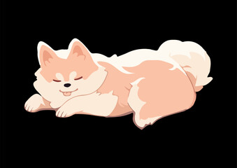 Cute welsh corgi having a nap, snugly curled upisolated on a black background