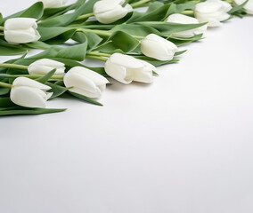  Banner. Bouquet of white tulips on a white background. Space for text. Generative AI