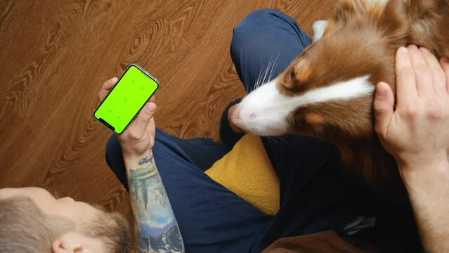 Man sitting on bed next to dog Australian Shepherd and relaxing together watching film movie. Vertical 4k footage. Using Mobile with Horizontal green screen Chroma Key Device. Shopping in pet store.
