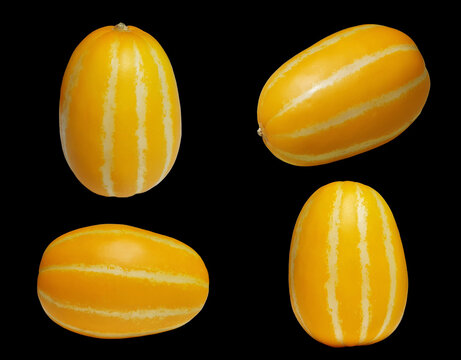 Summer Fruit and Vegetables Korean Yellow Melon Isolated on a Black Background